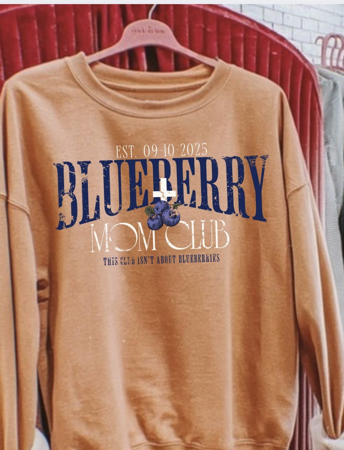 Blueberry Mom Club 00514