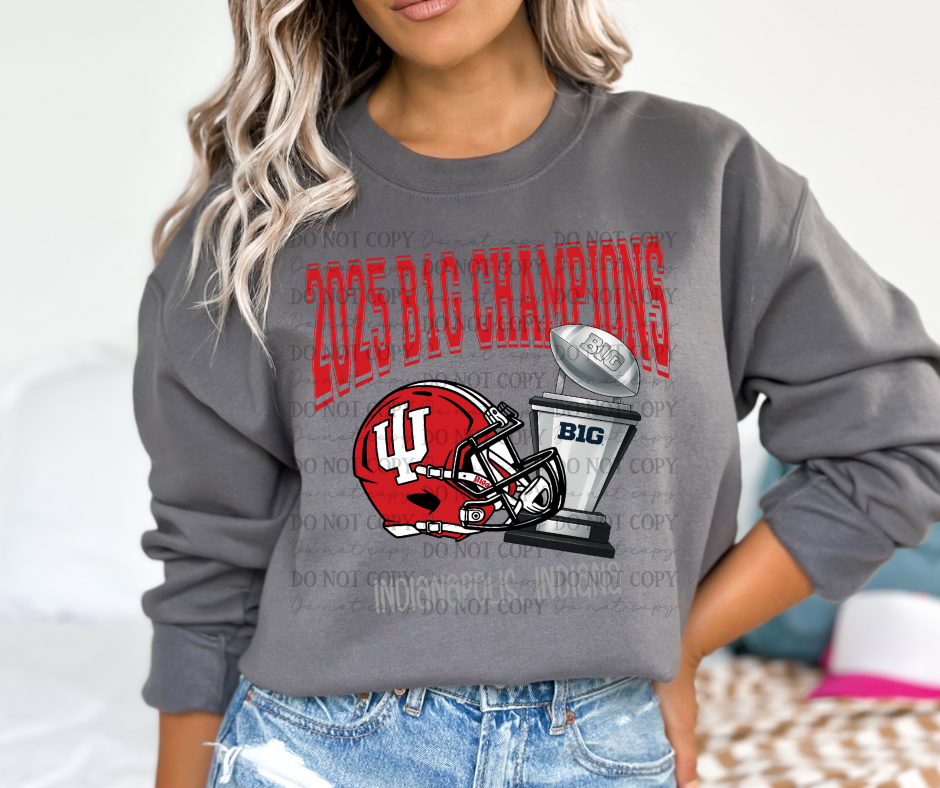 2025 B1G Champions Illinois Hoosiers 07159