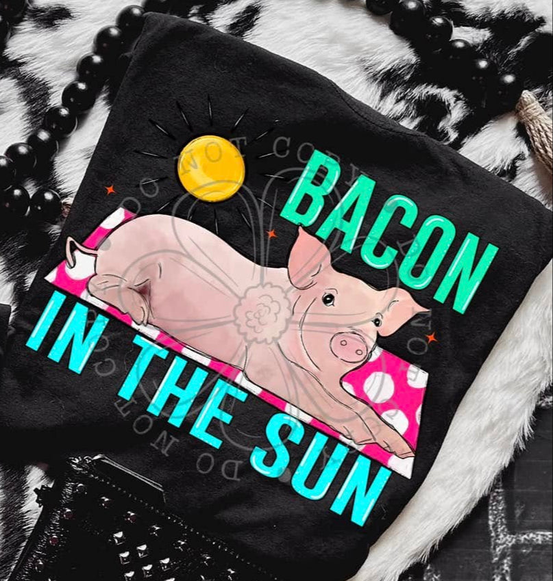 Bacon in the Sun 02355