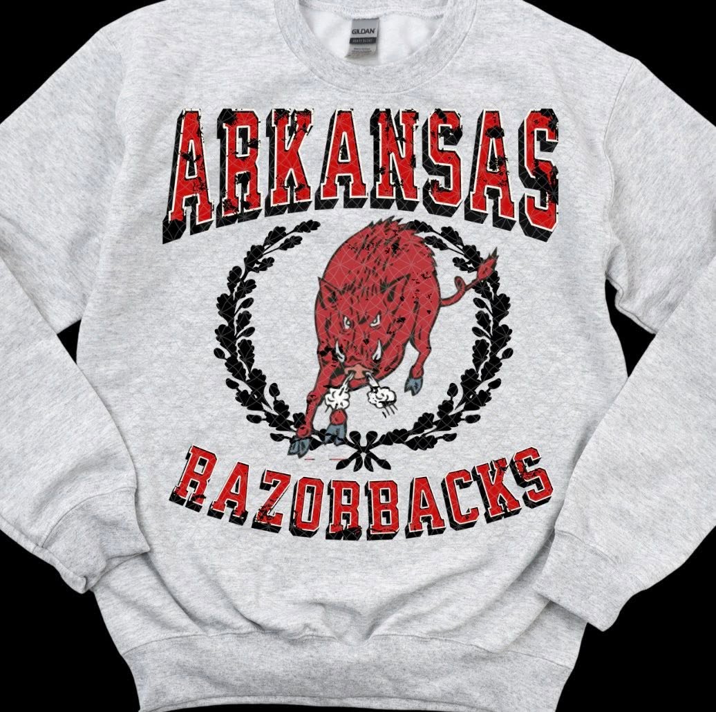 Arkansas Razorbacks 09073