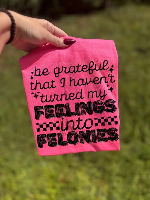 Be Grateful That I Haven't Turned My Feelings into Felonies 00857