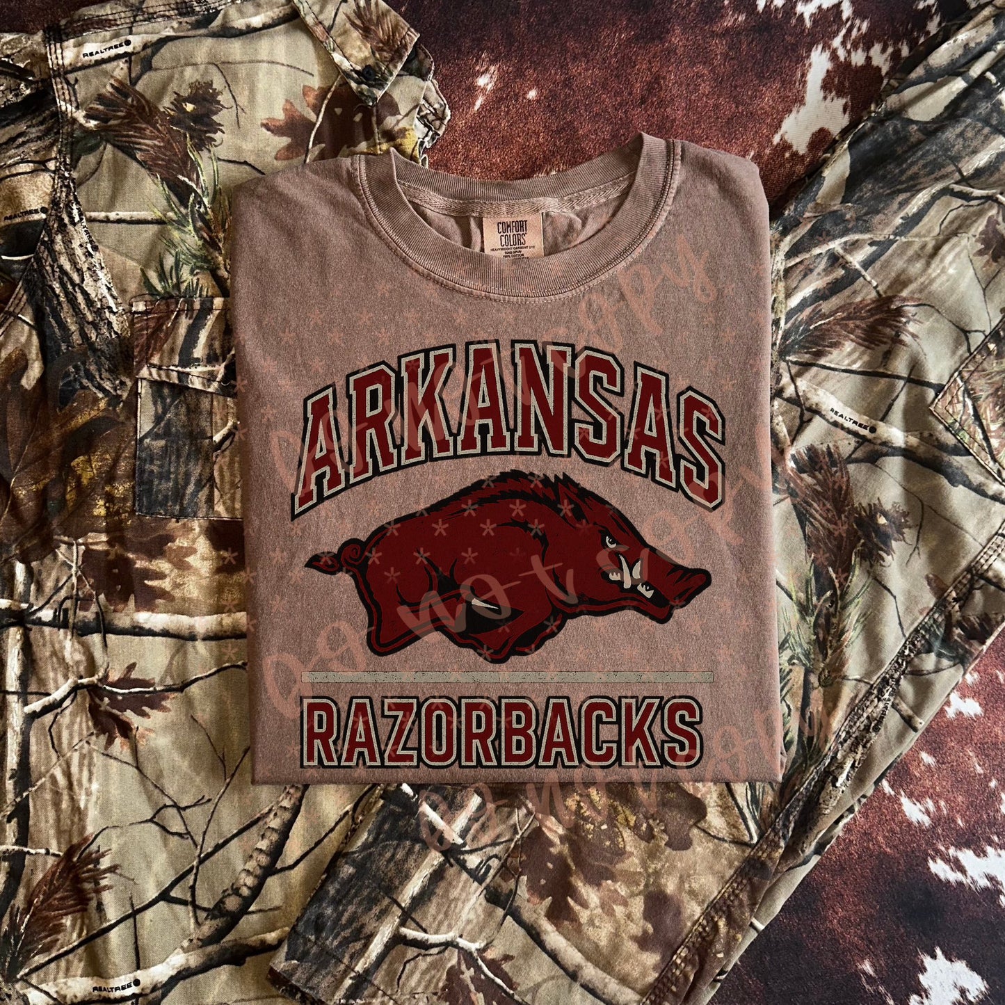 Arkansas Razorbacks 00575