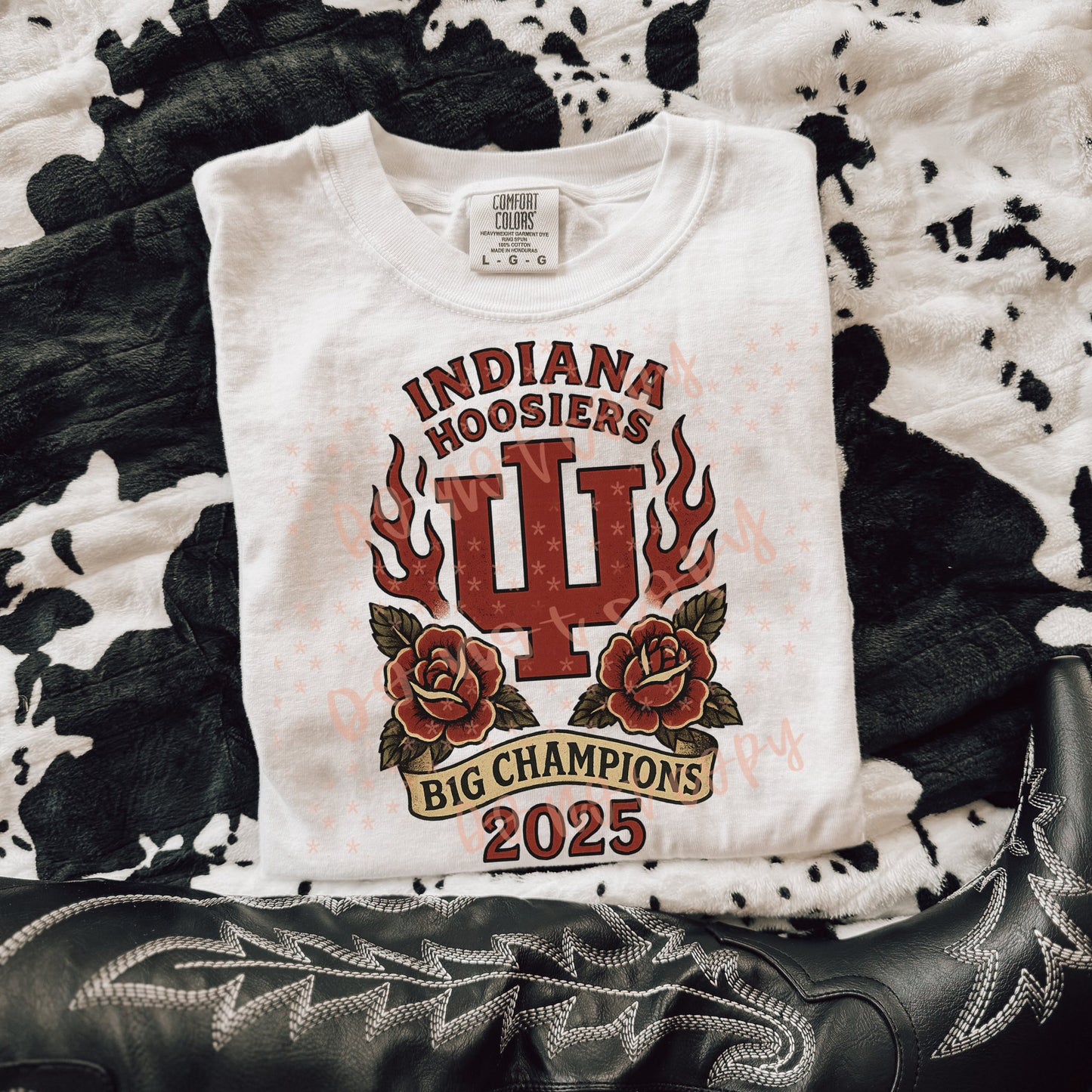 2025 Indiana Hoosiers Big 10 Champions Retro Vintage 07178