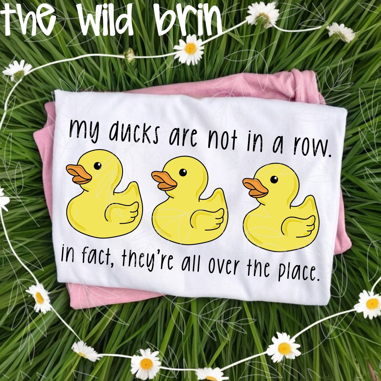 My Ducks Are Not in a Row 07844