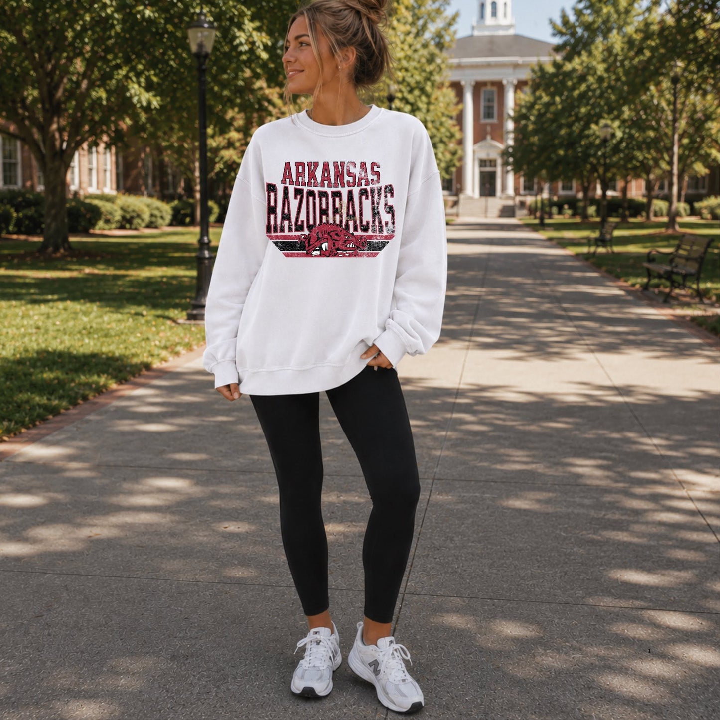Arkansas Razorbacks 09075