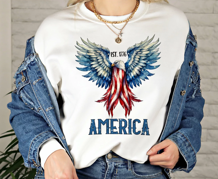America Eagle 02223