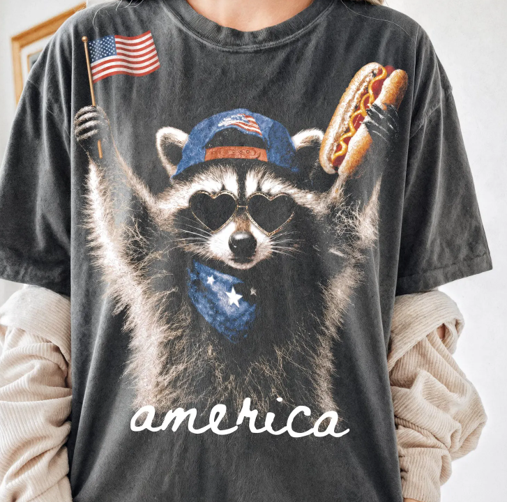America Raccoon 08449