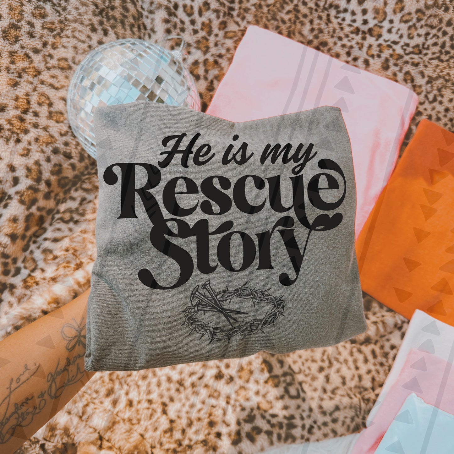 Rescue Story 00527