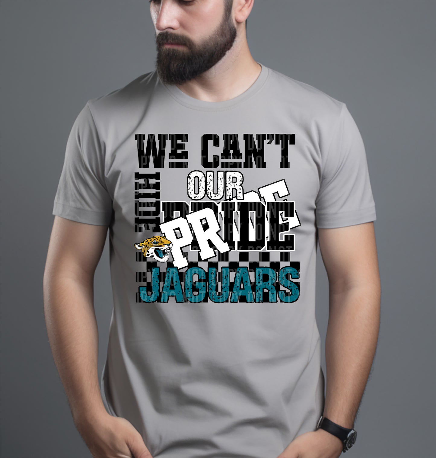 Pro Football Teams Can't Hide Our Pride (Choose Yours) 00283