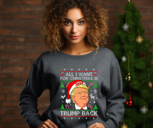 All I Want for Christmas Is Trump Back DTF Transfer