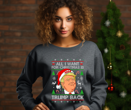 All I Want for Christmas Is Trump Back DTF Transfer 05625