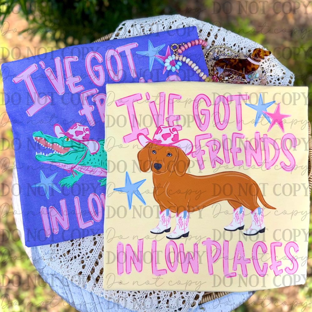 I've Got Friends in Low Places Weiner Dog 08406