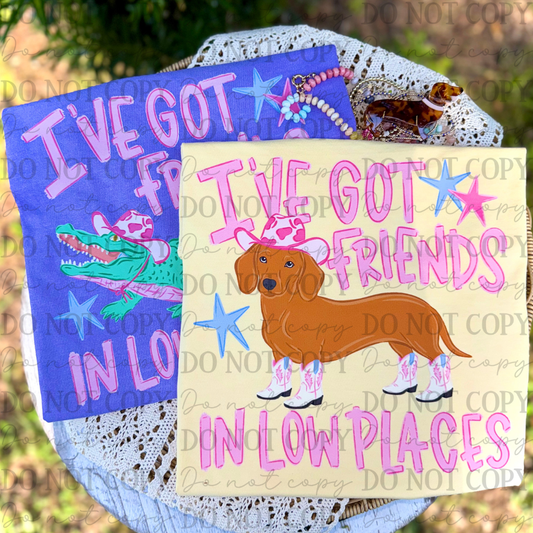 I've Got Friends in Low Places Weiner Dog 08406