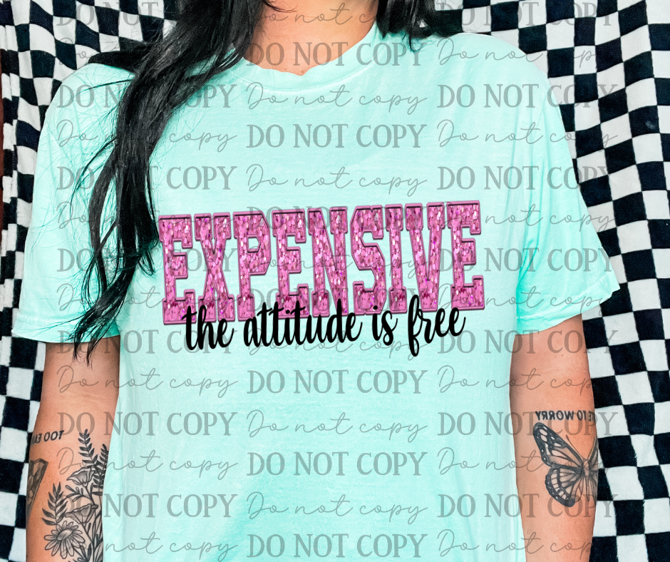 Expensive The Attitude Is Free 06908