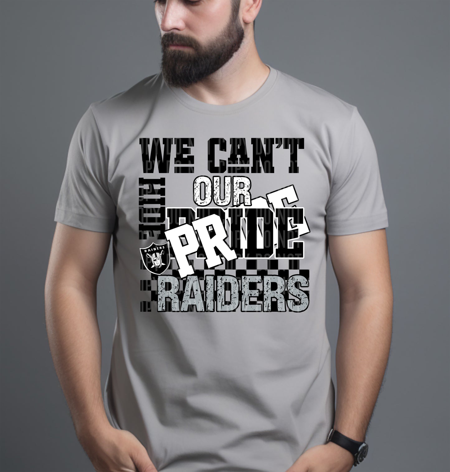 Pro Football Teams Can't Hide Our Pride (Choose Yours) 00283