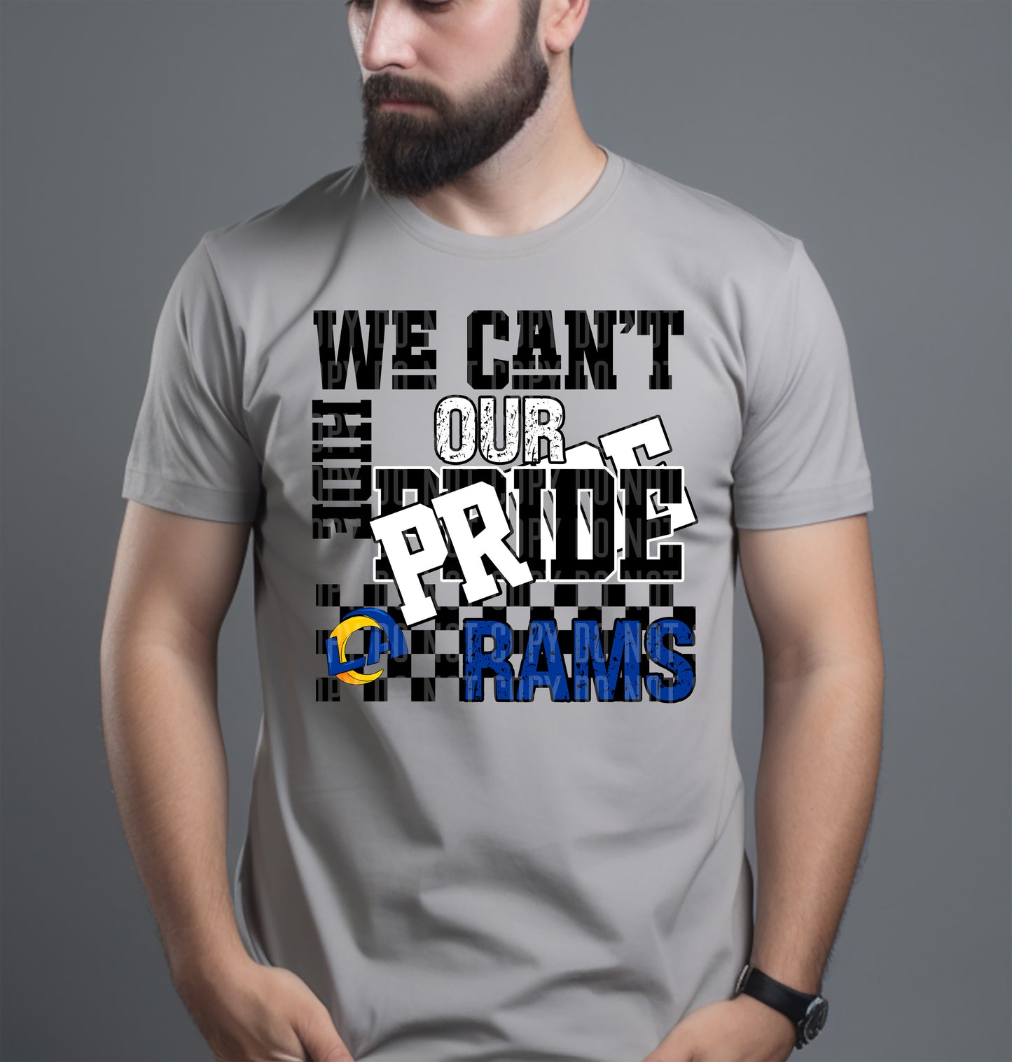 Pro Football Teams Can't Hide Our Pride (Choose Yours) 00283