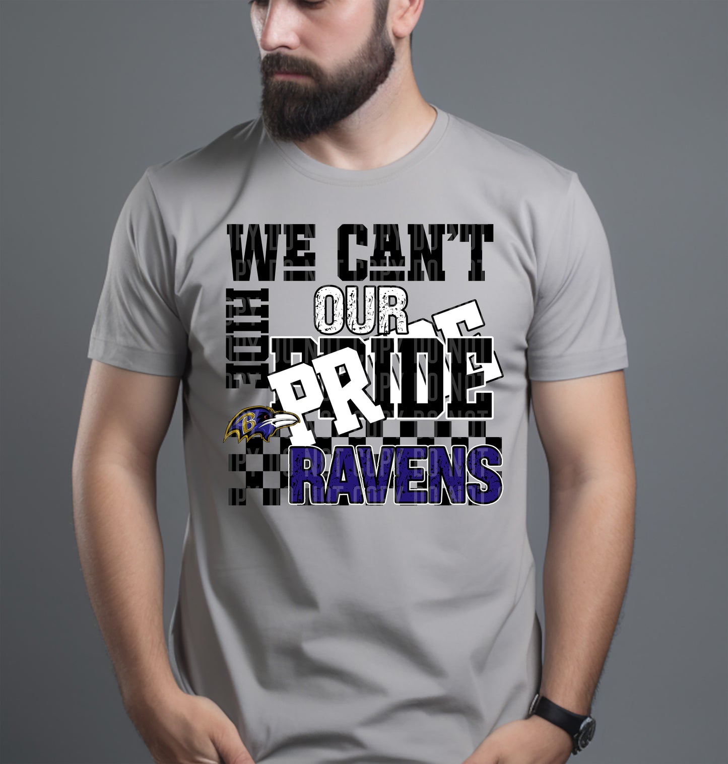 Pro Football Teams Can't Hide Our Pride (Choose Yours) 00283