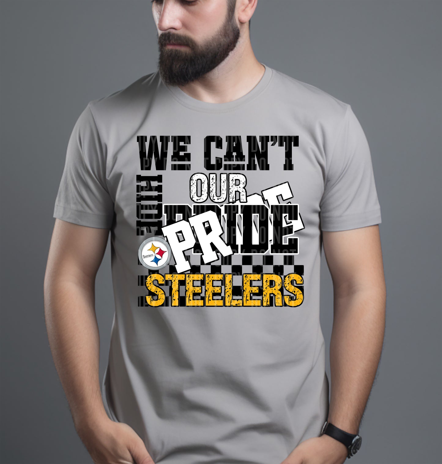 Pro Football Teams Can't Hide Our Pride (Choose Yours) 00283