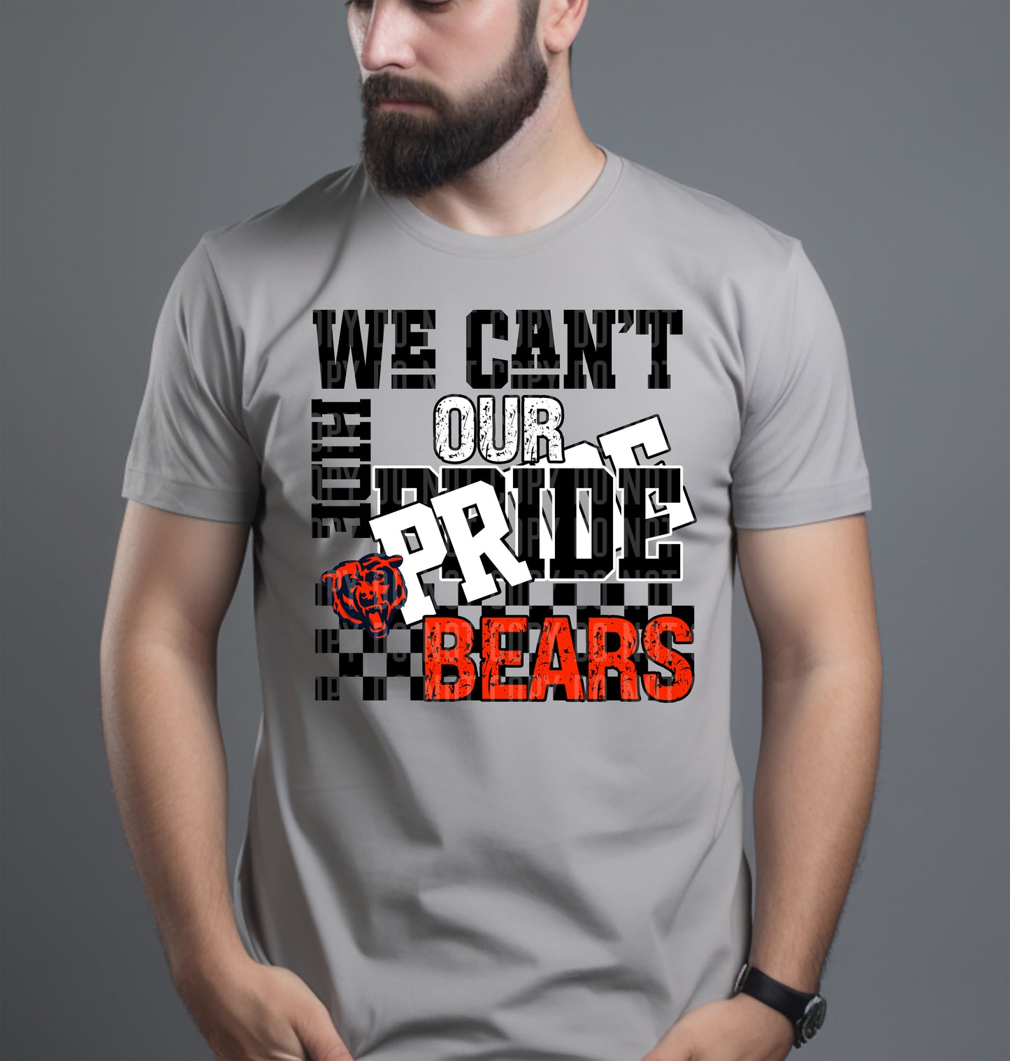 Pro Football Teams Can't Hide Our Pride (Choose Yours) 00283