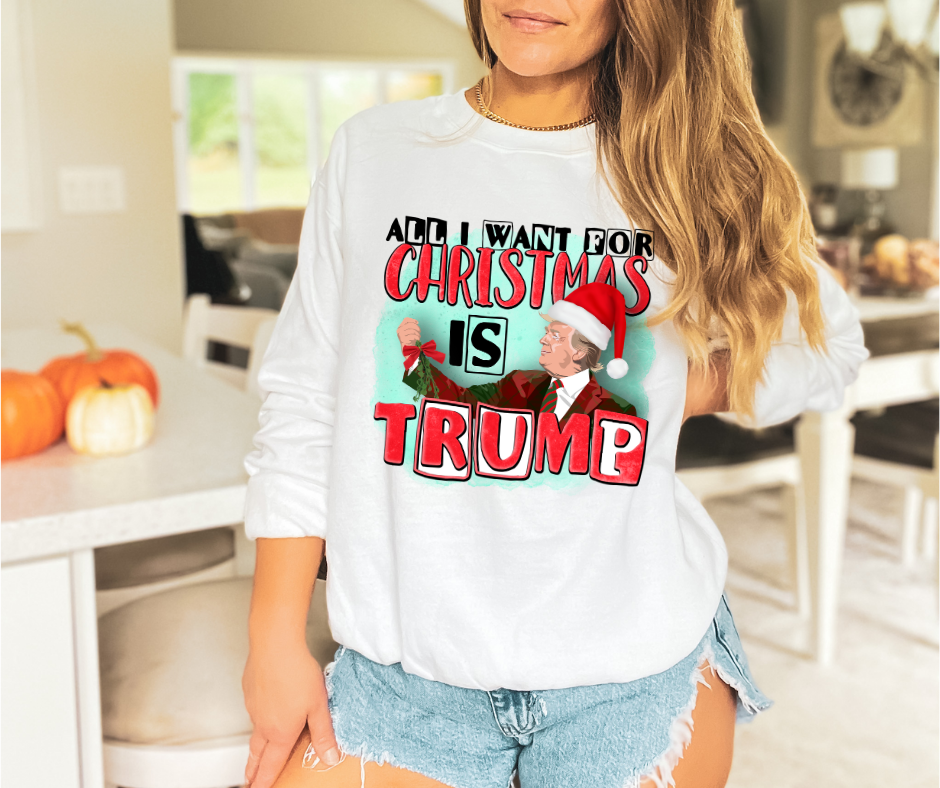 All I Want for Christmas Is Trump DTF Transfer 05993