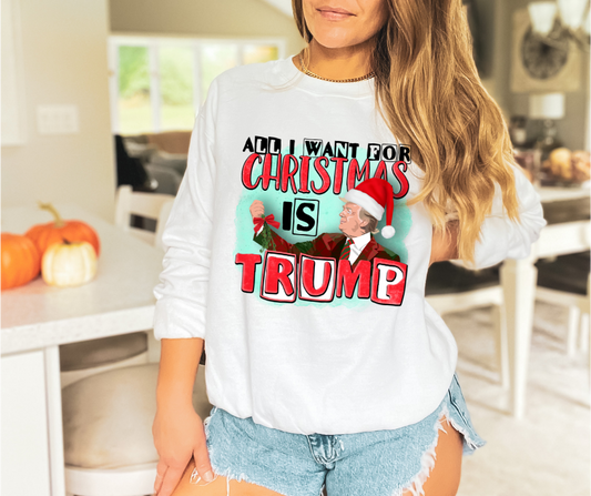 All I Want for Christmas Is Trump DTF Transfer