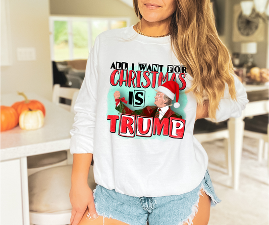 All I Want for Christmas Is Trump DTF Transfer 05993