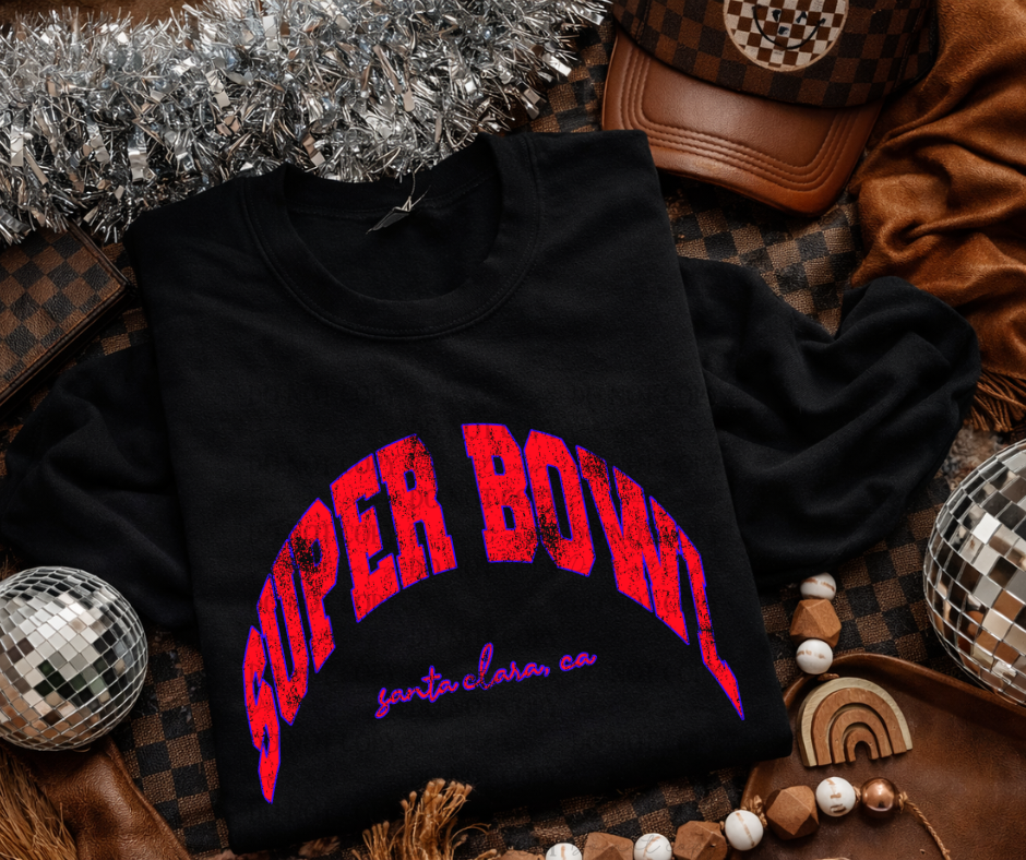 Super Bowl Santa Clara CA 07613