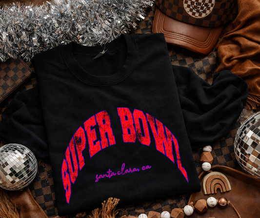 Super Bowl Santa Clara CA 07613