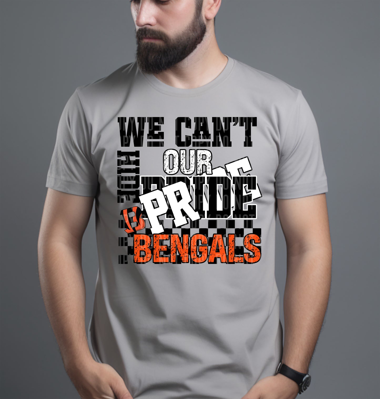 Pro Football Teams Can't Hide Our Pride (Choose Yours) 00283