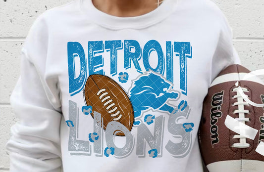 Detroit Lions Football DTF Transfer 05477