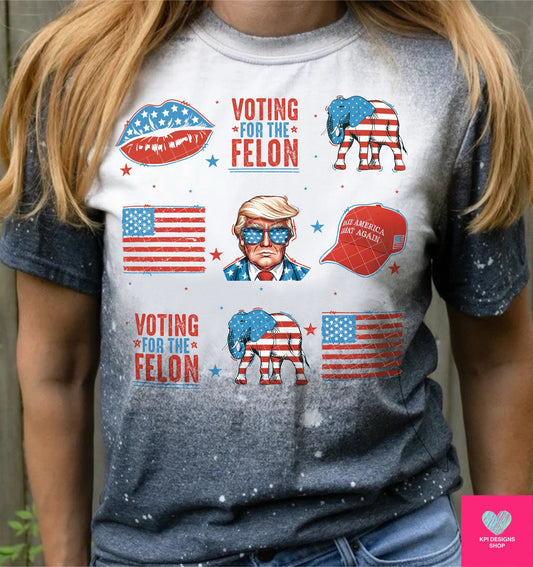 Voting for the Felon Collage 05083