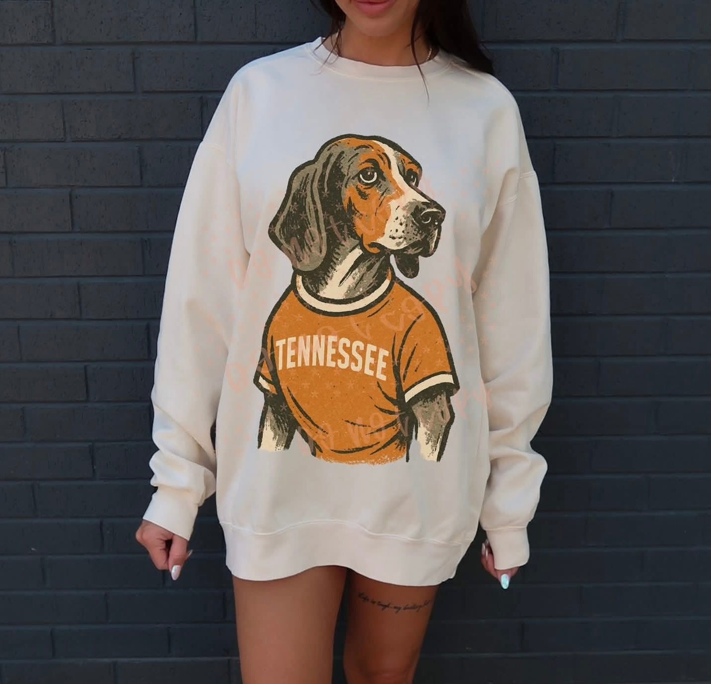 Tennessee Vols Mascot 00644
