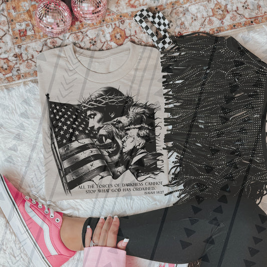 All the Forces of Darkness Trump 04869