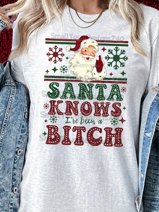Santa Knows I've Been a B*tch 04634
