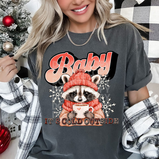 Baby It's Cold Outside Raccoon 04558