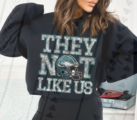 Faux Eagles They Not Like Us 03428