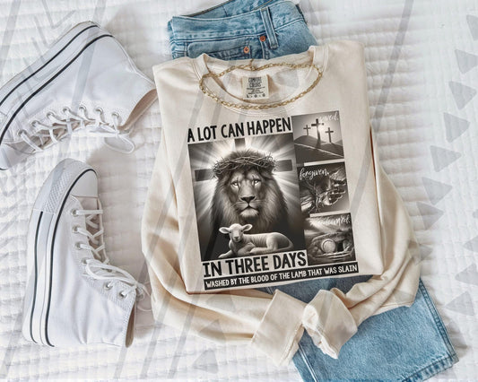 A Lot Can Happen In Three Days Collage 02884