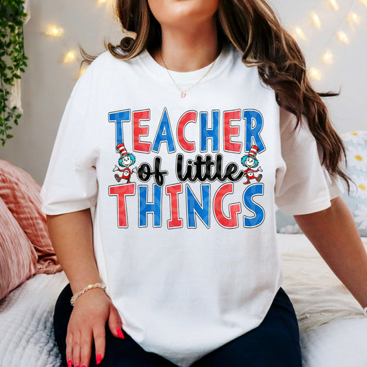 Teacher of Little Things 02946