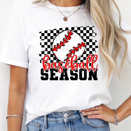 Baseball Season 02553