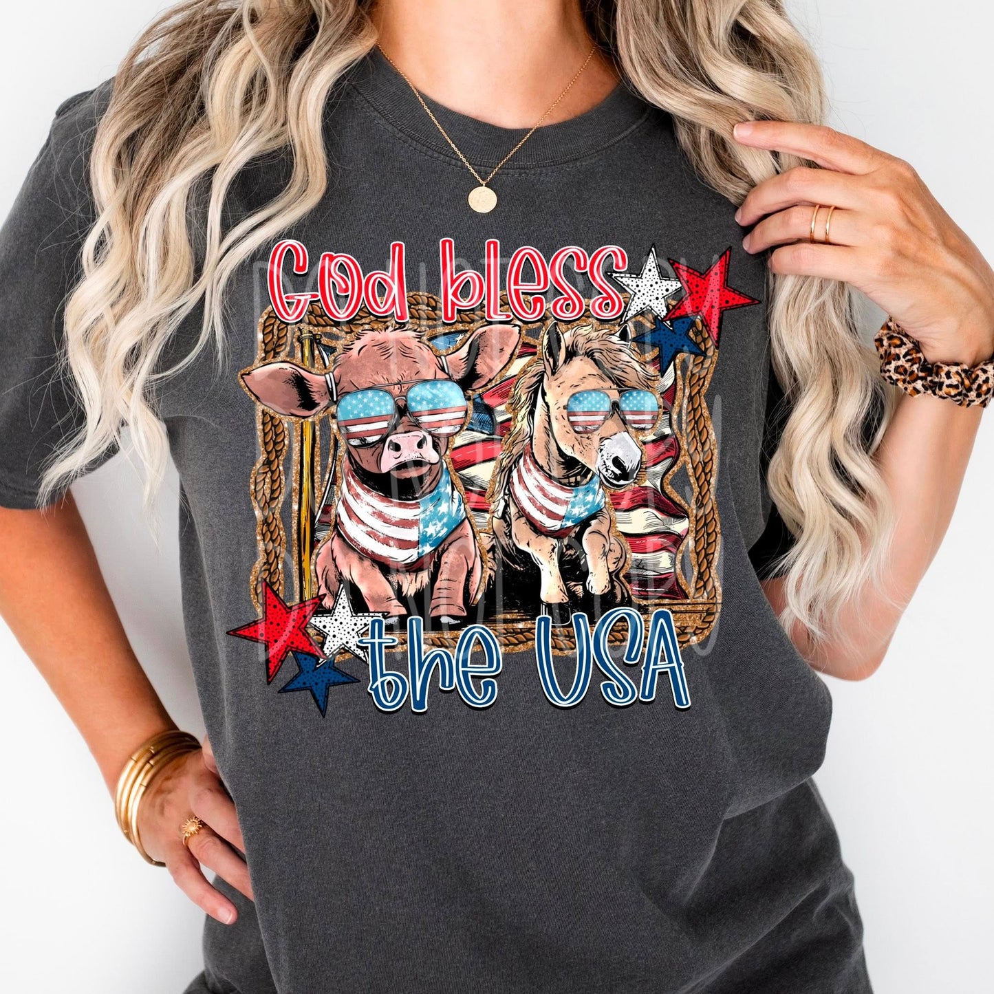 God Bless The USA 02502