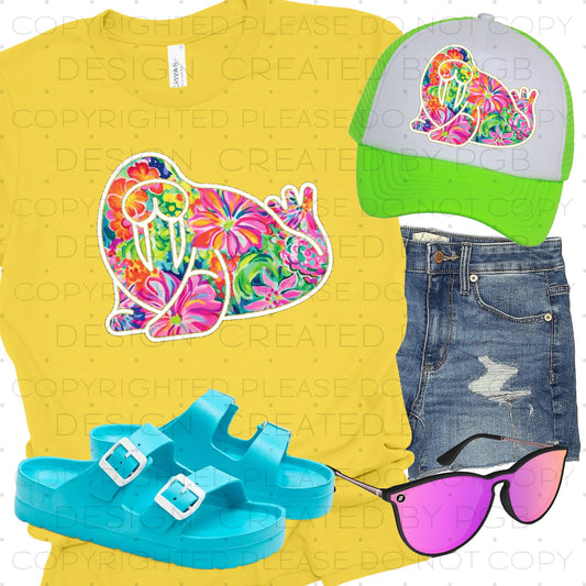 Tropical Walrus 01979