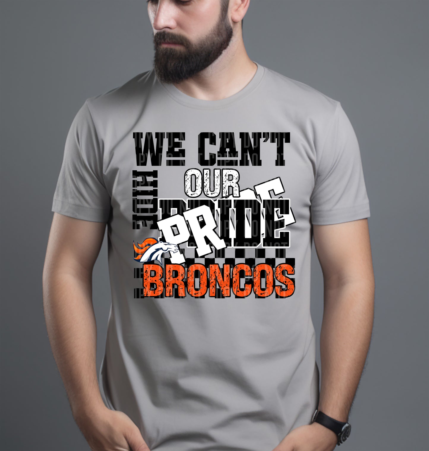 Pro Football Teams Can't Hide Our Pride (Choose Yours) 00283