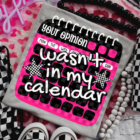 Your Opinion Wasn't in My Calendar 01562