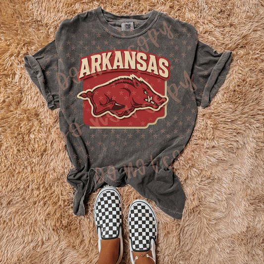 Arkansas Razorbacks 00577
