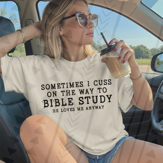 Sometimes I Cuss on the Way to Bible Study 06969