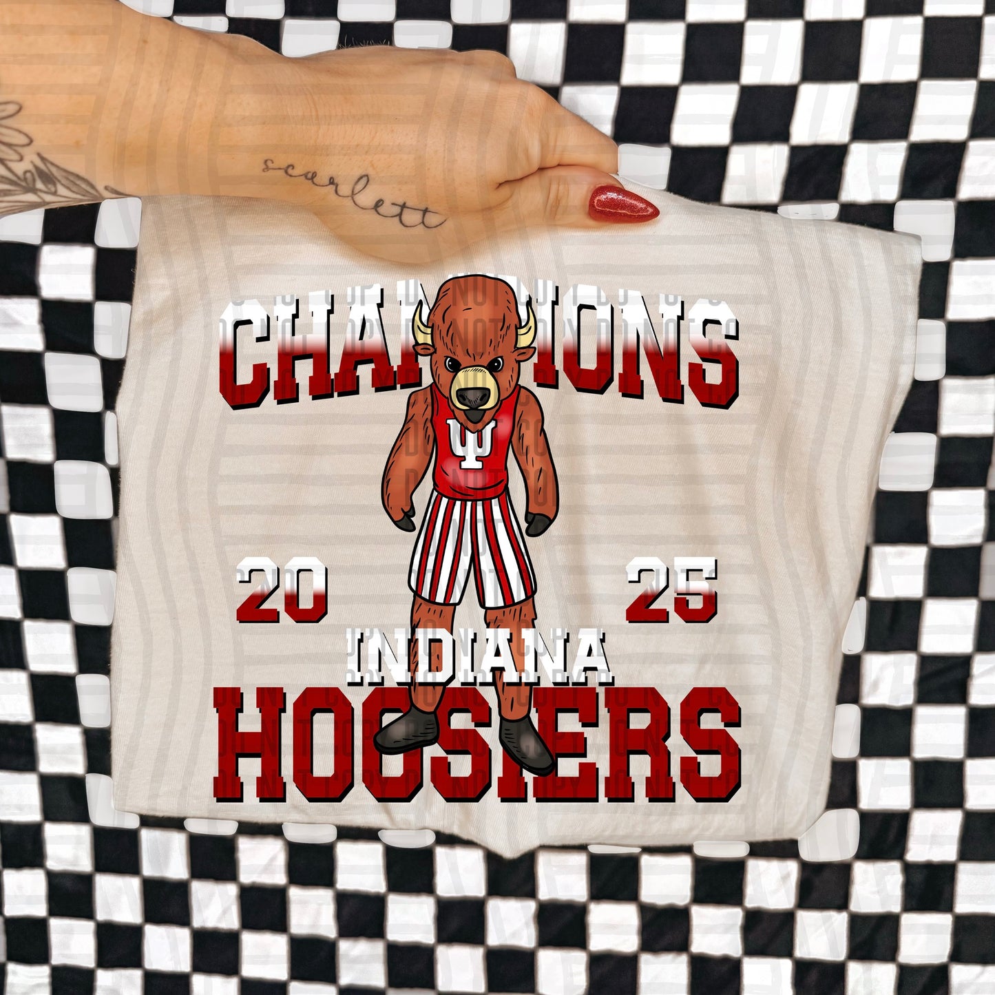 2025 Indiana Hoosiers Big 10 Champions 07186