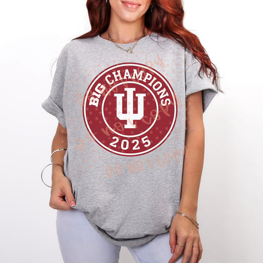 2025 Indiana Hoosiers Big 10 Champions Circle 07177