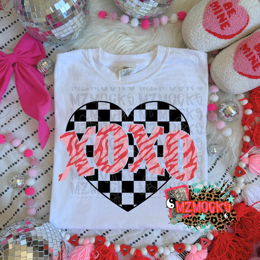XOXO Zebra 07311