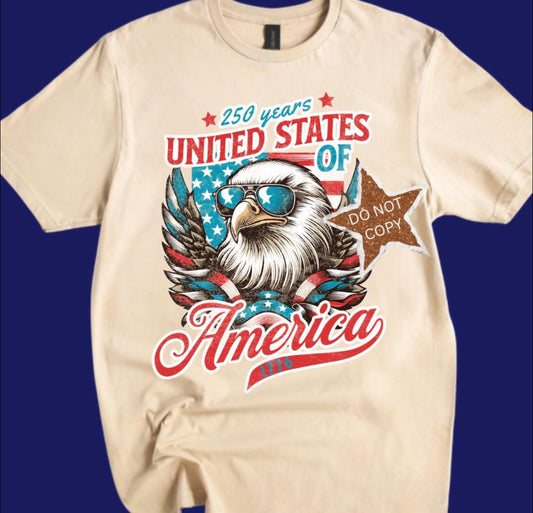 250 Years of America Eagle 07183
