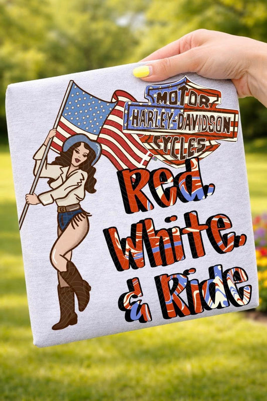 Vintage Harley Red White & Blue 08485